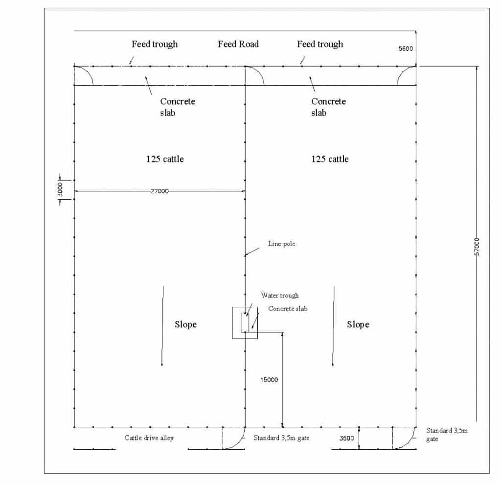 An On farm Feedlot Setup The Basics AgriOrbit