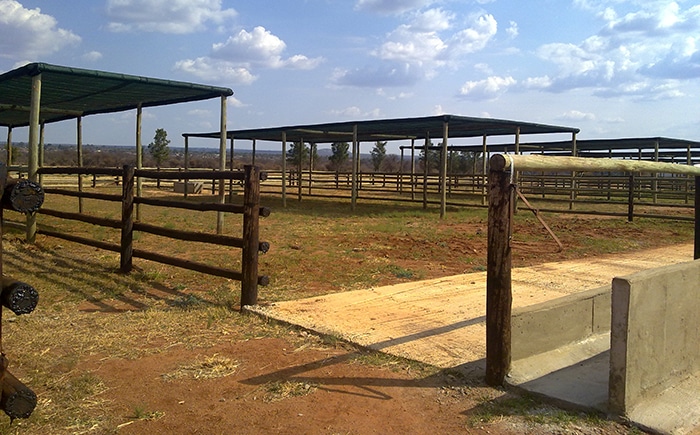 An On farm Feedlot Setup The Basics AgriOrbit