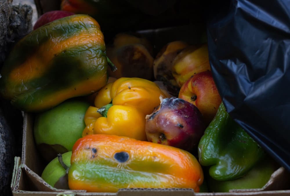 Causes of vegetable post-harvest losses – AgriOrbit