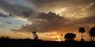 RSG Landbou: 30 Maart 2026 wolke landskap