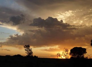 RSG Landbou: 30 Maart 2026 wolke landskap