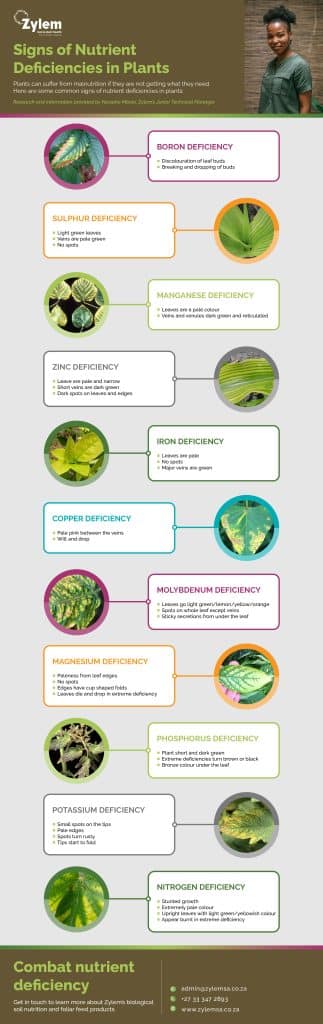 Did you know that plants require 16 essential nutrients to grow normally? These 16 nutrients can be classified into three categories.