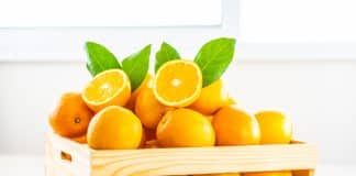 South Africa will voluntarily stop shipments of Valencia oranges to EU from areas affected by a fungal disease.