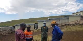 Kraaling animals at night affords the opportunity to supplement poor grazing in winter. Communal livestock farming. Farmers