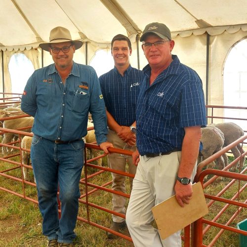 The slaughter lamb competition judges were, from the left, Andrew Adams of SAFJA, and Hans Schutte and Andries Greeff of OVK.