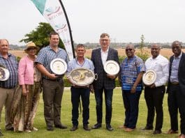 1. The winners of the 2023 ARC National Master Dairyman Awards from left: The ARC National Medium-Scale Dairyman of the Year, Hannes Nel (JJ Nel Familie Trust, Ladismith), Joyene Isaacs, ARC chairperson, ARC National Herd with the Best Intercalving Period, Pieter Steenkamp (Tweekop Boerdery, Heidelberg, Western Cape), ARC National Master Dairyman of the Year accepted by Jaco Swarts, manager of RFG Dairy (on behalf of RFG Foods) and ARC National Herd with the Best Somatic Cell Count, Etienne Zeeman (E Zeeman, Swellendam, Western Cape), Dr Andrew Magadlela, group executive of Animal Science, ARC, ARC National Small-Scale Dairyman of the Year accepted by Wonder Nkosi of the ARC on behalf of Gugulomuzi Ngcobo (Donnybrook, KwaZulu-Natal), and Prof Norman Maiwashe, general manager of Animal Production, ARC. (Photograph: Agri-Expo)