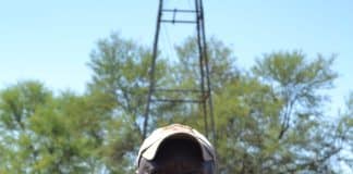 Bumbi Mahlangu among his Nguni cattle.