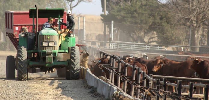 Om ’n voerkraal te bestuur is ingewikkelde en moeilike werk, met geen ledige dae nie. Die diere moet immers daagliks van skoon voer en drinkwater voorsien word en ’n kundige oog moet probleme so spoedig as moontlik raaksien.
