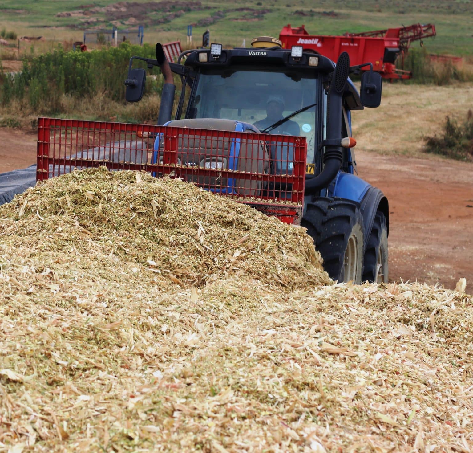 An expert take on the best silage crops – AgriOrbit