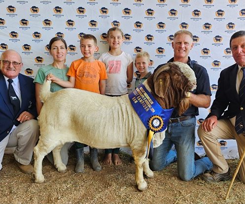 Andries Vollgraaff van Tekoa Boerbokstoet in Ceres is die eienaar van die grootkampioenram wat ook die senior kampioenram was. Van links is Charles Willemse, beoordelaar, Adéle, Dawid, Dalene, Lukas en Andries Vollgraaff en Joubert van der Merwe, beoordelaar.