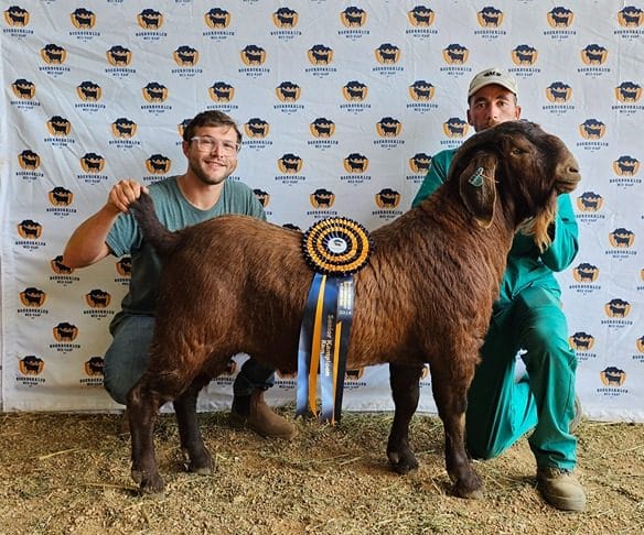 Die grootkampioen-ram was ook die seniorkampioen-ram. Die eienaar is Nico Prinsloo van Ratelpos Kalahari Reds in Stilbaai. Van links is Maurits Prinsloo en Martin Kortje.