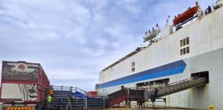 Livestock being loaded on a vessel for export