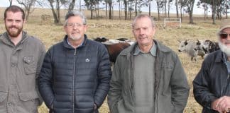 Die sprekers by die boeredag was, van links: Rhys Sims van 4MIX International, Christopher Sparks, Herman Nel van die Grassfed Association of South Africa en Graham Hobbs, naburige Nguniteler en keurder.