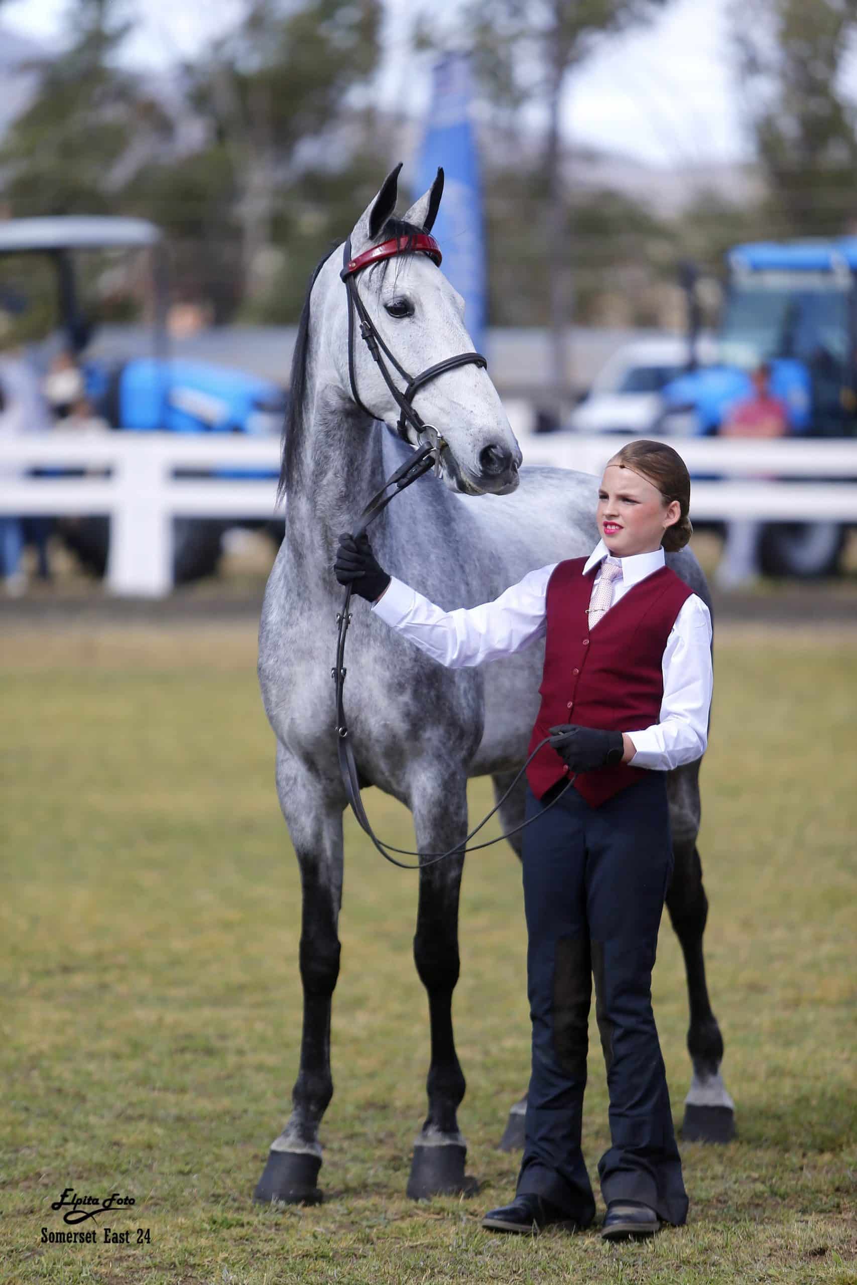 Die beste hanteerder 18 jaar en jonger op die Jeugskou was Ilke Bosch met Indiana Mademoizelle. Foto: Piet Scheepers, Elpita-fotografie.