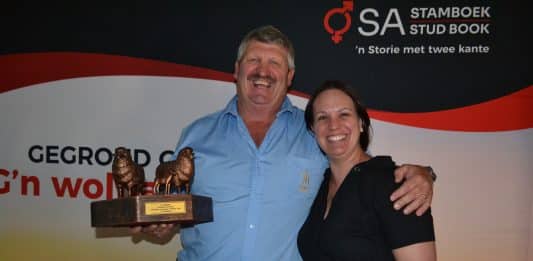 Dirk Hanekom van Korenhof Merino’s ontvang sy toekenning van Chanelle Steenekamp, tegniese en genetiese adviseur vir SA Stamboek in die Wes-Kaap.