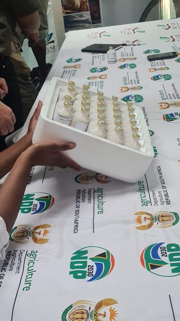 The vaccine ready to be transported. It was taken out of cold storage for a few minutes in order to give the press a moment to take pictures.
