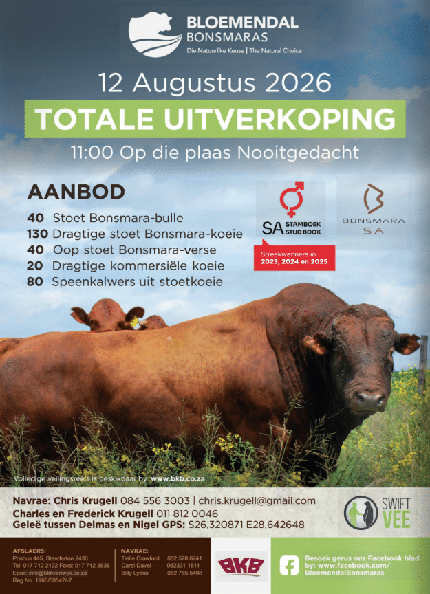 Bloemendal Bonsmaras produksieveiling