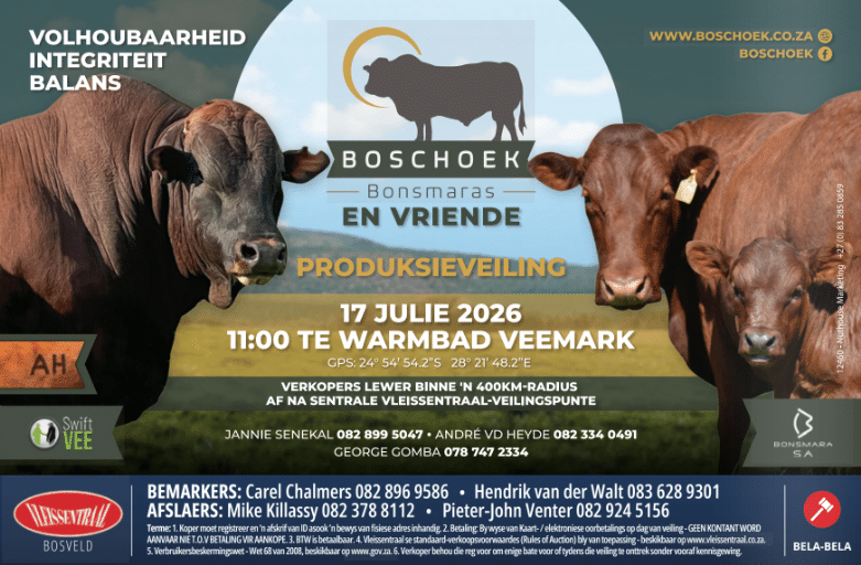 Boschoek Bonsmaras en vriende produksieveiling