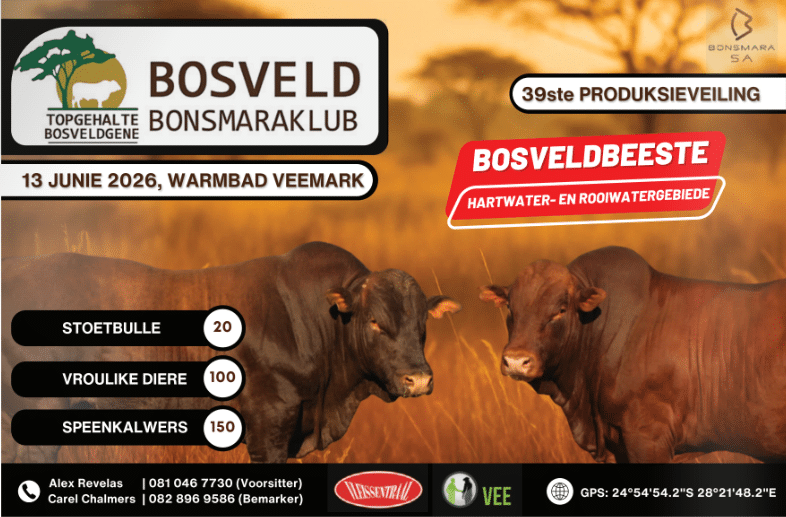 Bosveld Bonsmaraklub 39ste produksieveiling