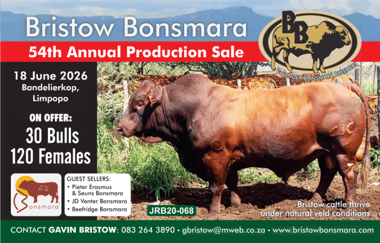 Bristow Bonsmara 54th annual production sale