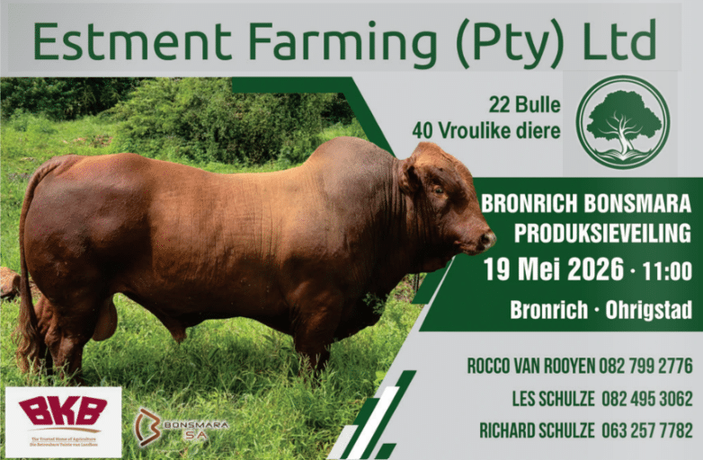 Bronrich Bonsmara produksieveiling