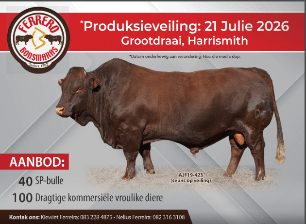 Ferrero Bonsmaras produksieveiling