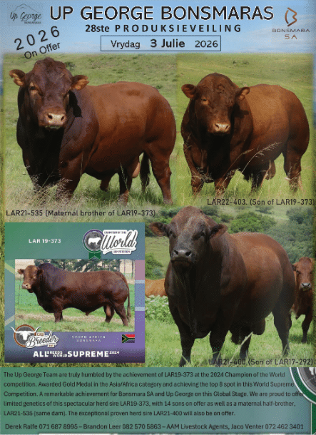 UP George Bonsmaras 28ste produksieveiling