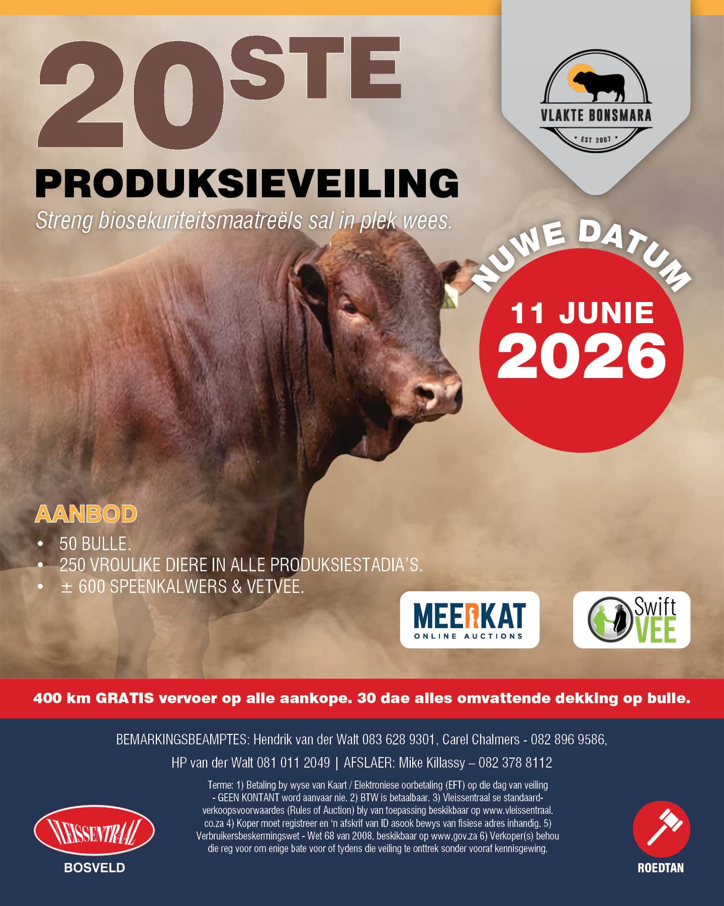 Vlakte Bonsmara 20ste produksieveiling