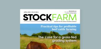 Stockfarm April 2026 hits the shelves