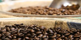 RSG Landbou: 16 Maart 2026 – geborg deur Lamb Champs