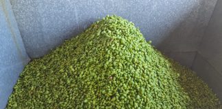 LandbouRadio: 6 Maart 2026