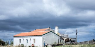 Improvements and services on farms