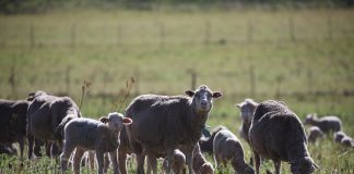 What is the worst that can happen?