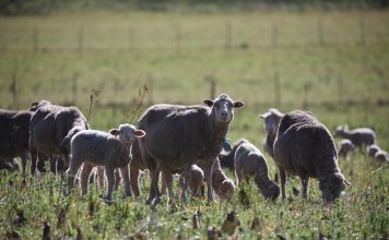 What is the worst that can happen?