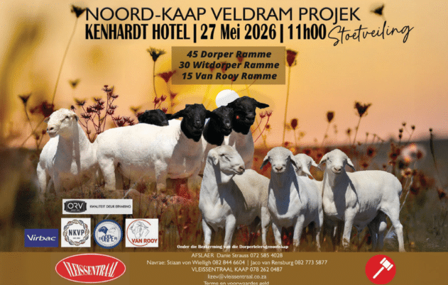 Noord-Kaap Veldram Projek stoetveiling