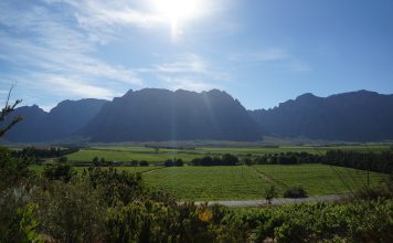 Agri Wes-Kaap stel Jongboer van die Jaar 2026-kandidate bekend
