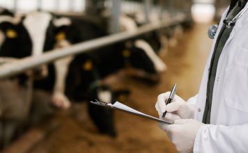 Biosecurity under pressure: What it means for South African agriculture