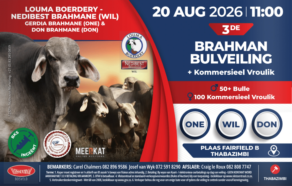 Nedibest Brahmane 3de Brahman bulveiling