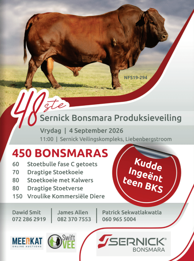 Sernick Bonsmara 48ste produksieveiling