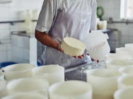 Systematic problem solving: The key to dairy culture quality