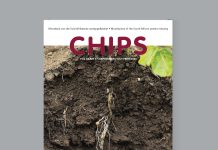 CHIPS September/October 2026