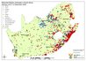 Calls for South Africans to stand ‘stronger together’ against rabies