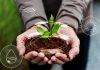 Smarter insights, stronger resilience