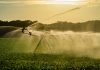 Water keeps agriculture alive: Q&A with the DWS